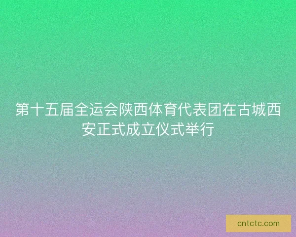 第十五届全运会陕西体育代表团在古城西安正式成立仪式举行